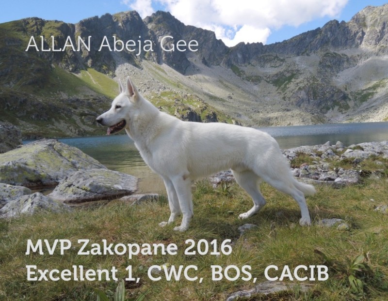 allan_zakopane.jpg