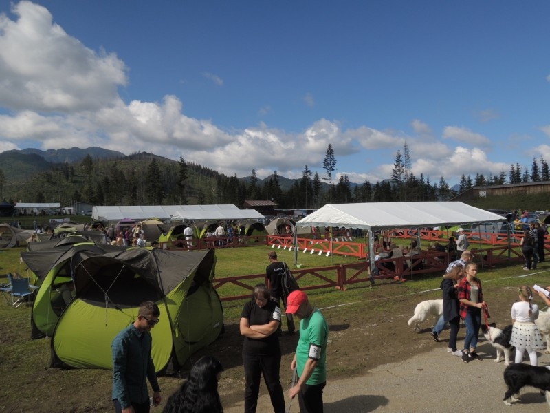 dscn0745.jpg