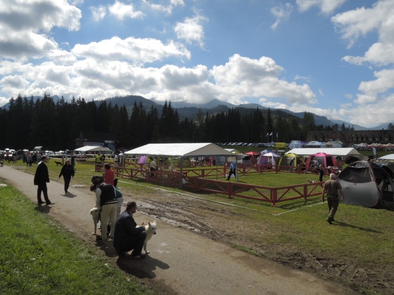 dscn0747.jpg