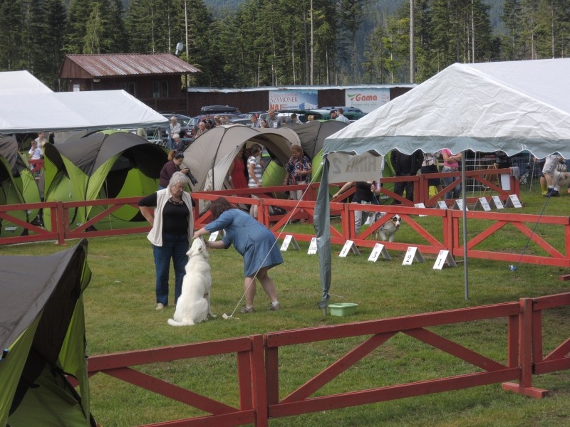 dscn0752.jpg