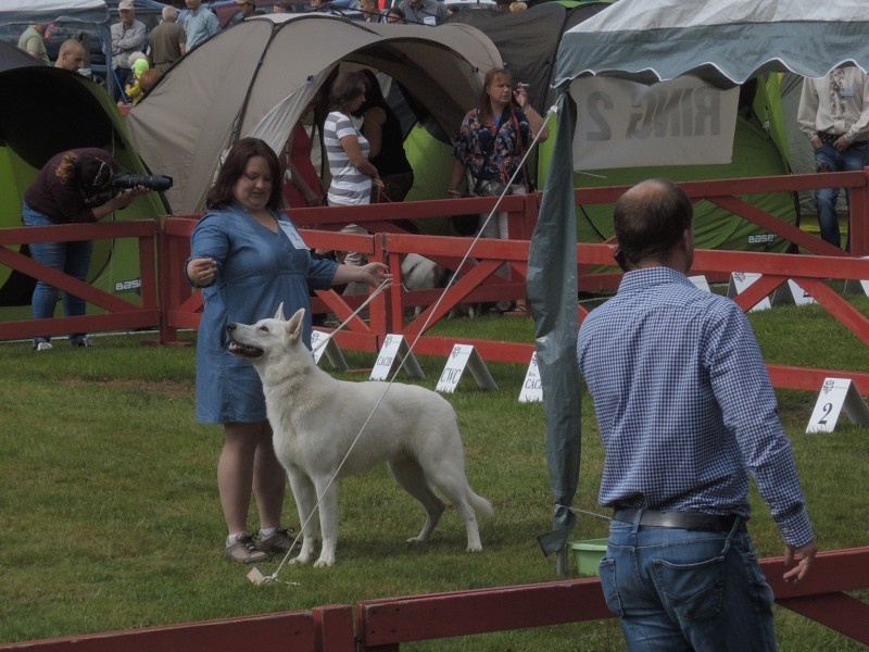 dscn0764.jpg