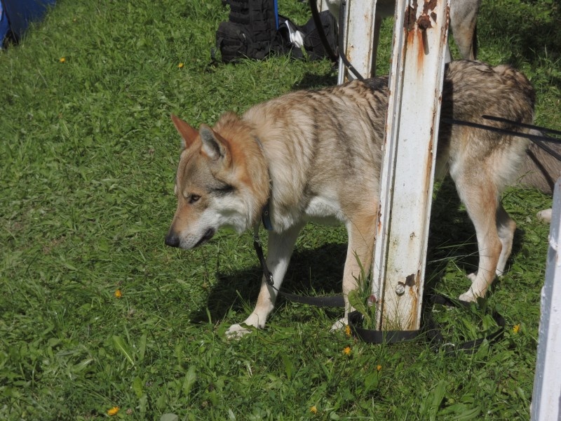 dscn0778.jpg
