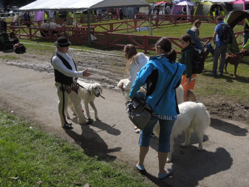 dscn0781.jpg