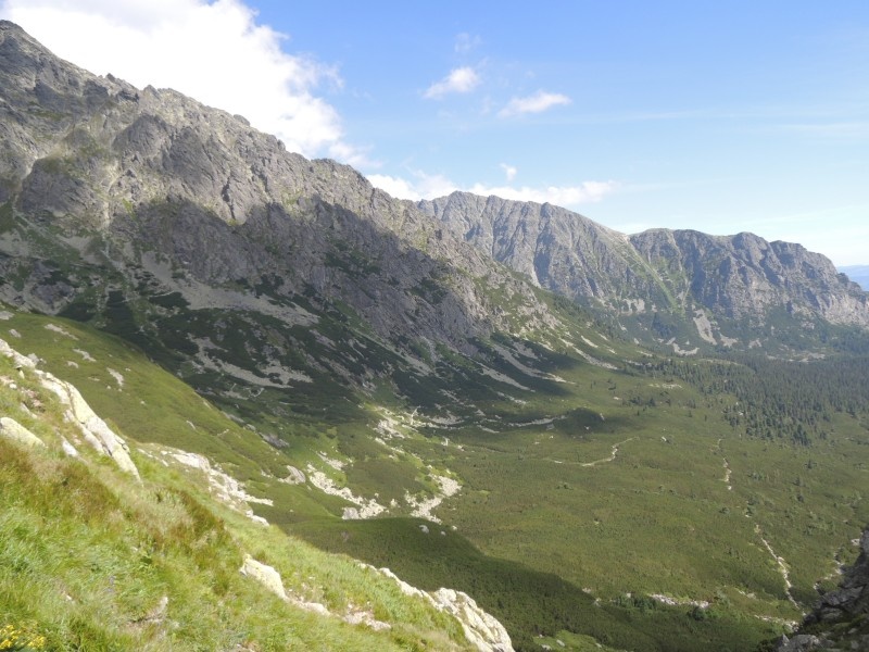 dscn0990.jpg