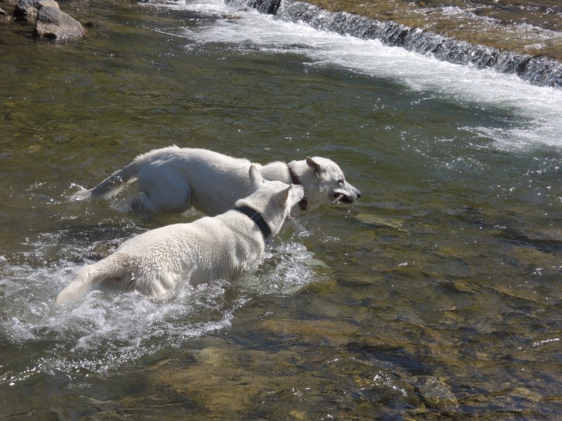 dscn0998.jpg
