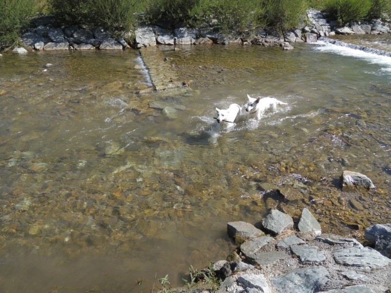 dscn1003.jpg