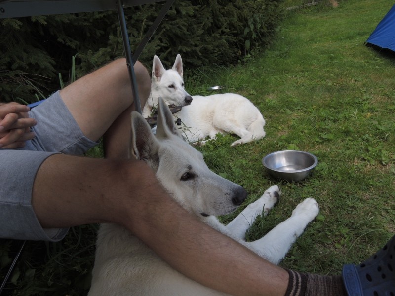 dscn1022.jpg
