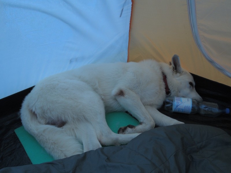 dscn1026.jpg