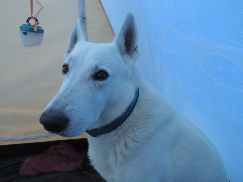 dscn1027.jpg