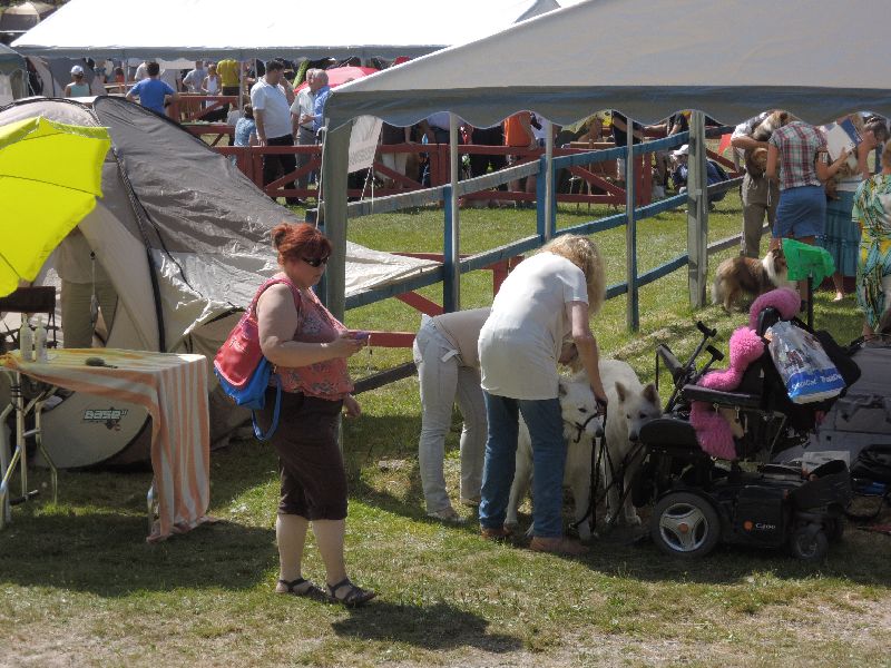 dscn1314.jpg