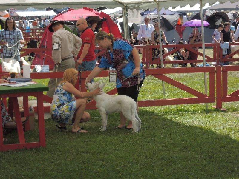 dscn1318.jpg