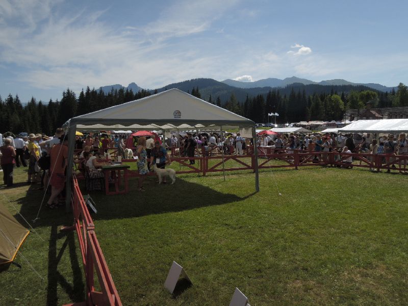 dscn1320.jpg