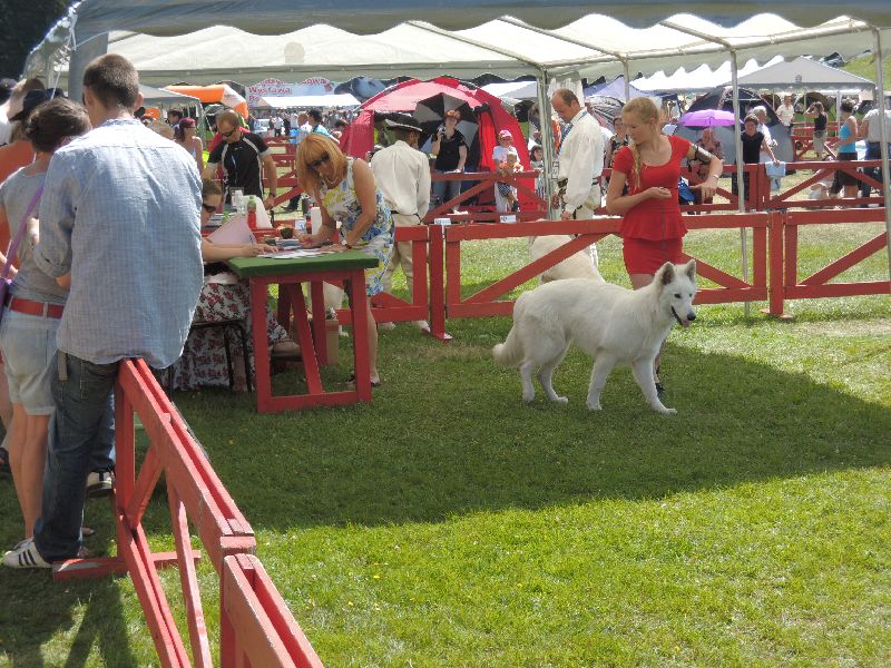 dscn1330.jpg