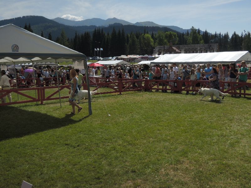 dscn1336.jpg