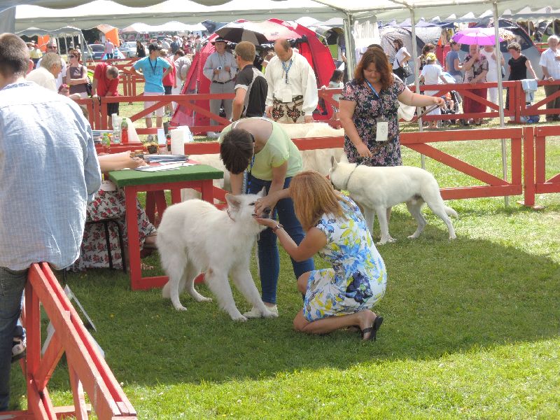 dscn1338.jpg