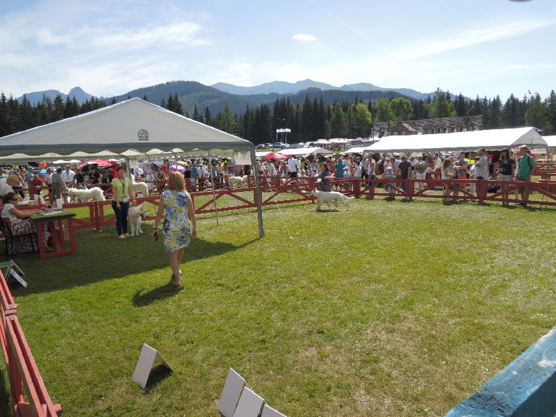 dscn1348.jpg