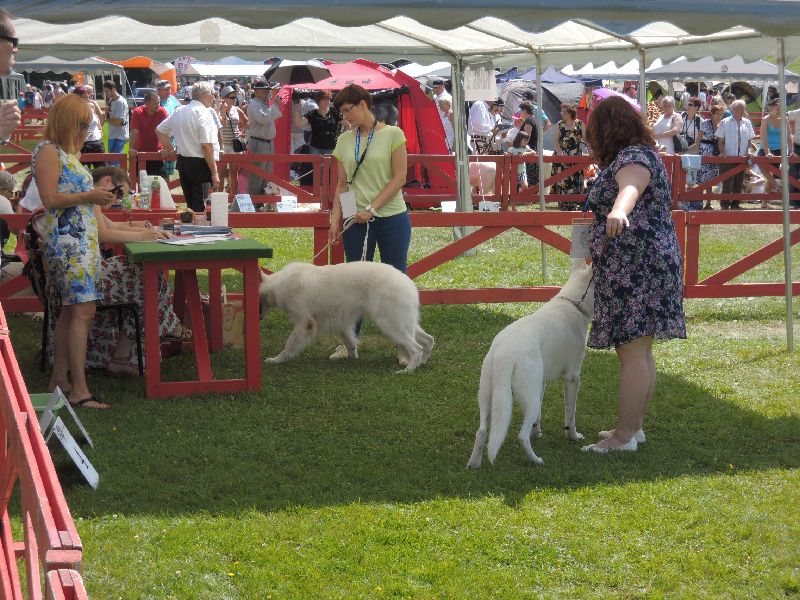 dscn1354.jpg