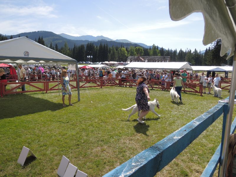 dscn1355.jpg