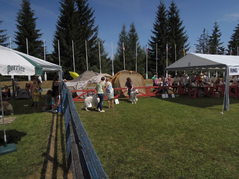 dscn1357.jpg
