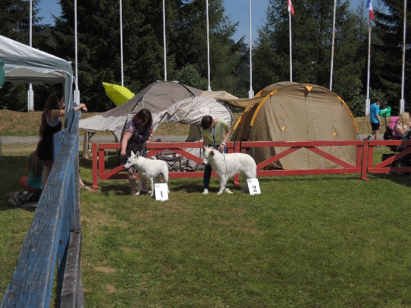 dscn1358.jpg