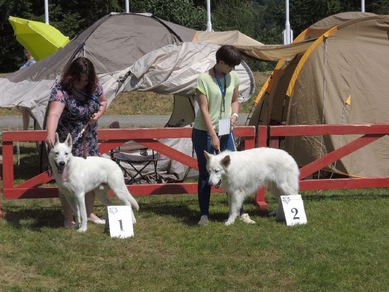 dscn1359.jpg