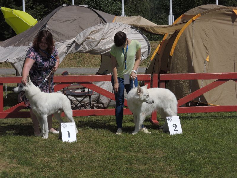 dscn1360.jpg