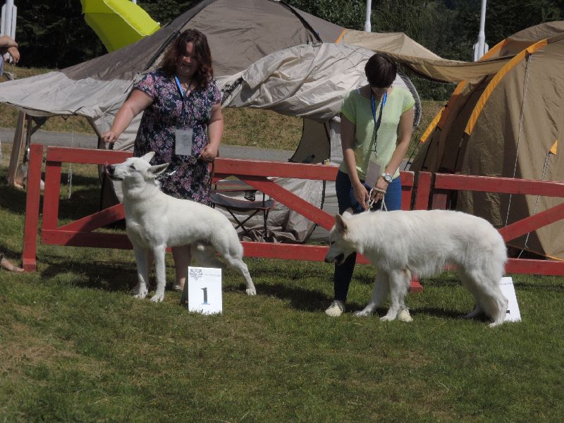 dscn1362.jpg