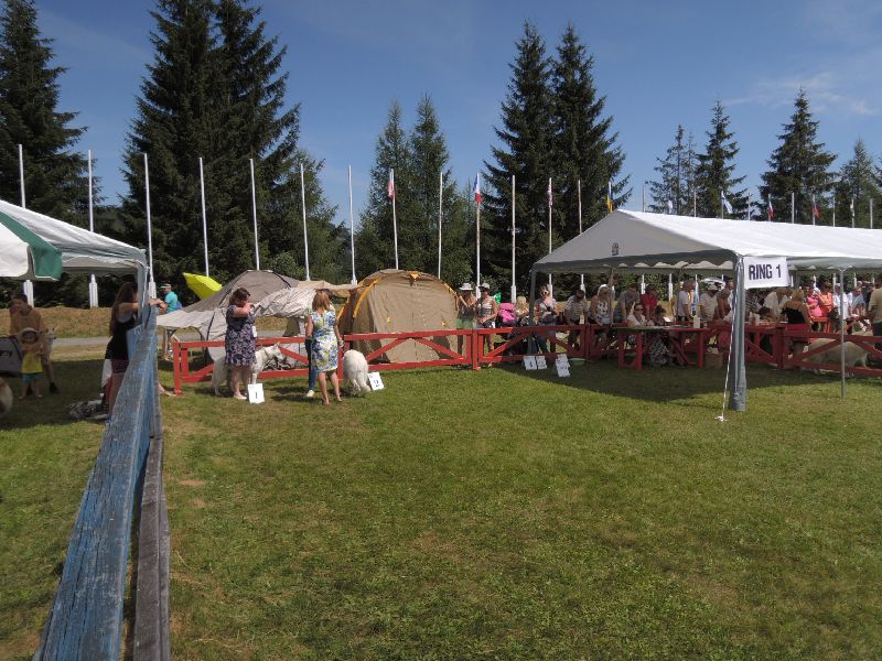 dscn1365.jpg
