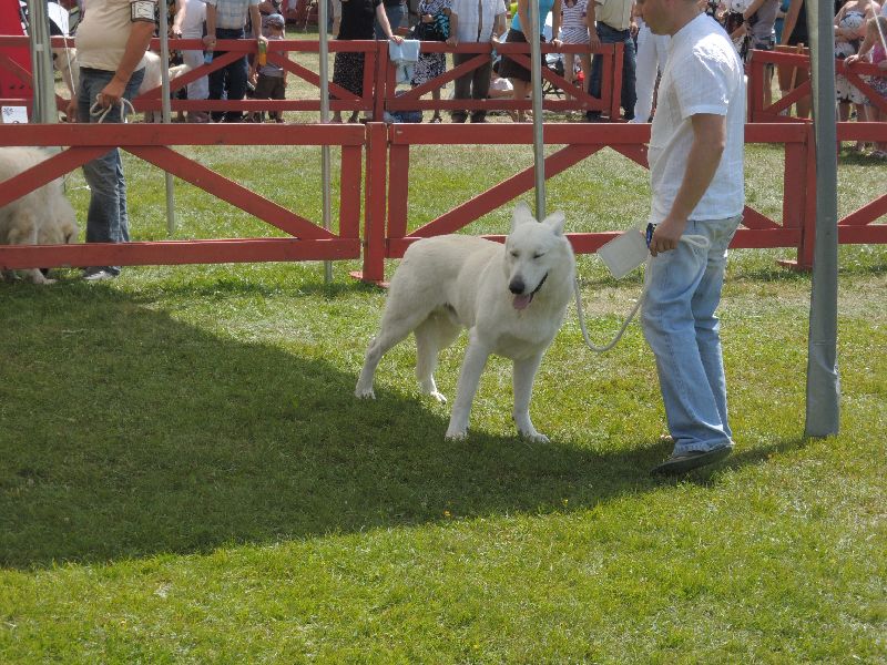 dscn1369.jpg