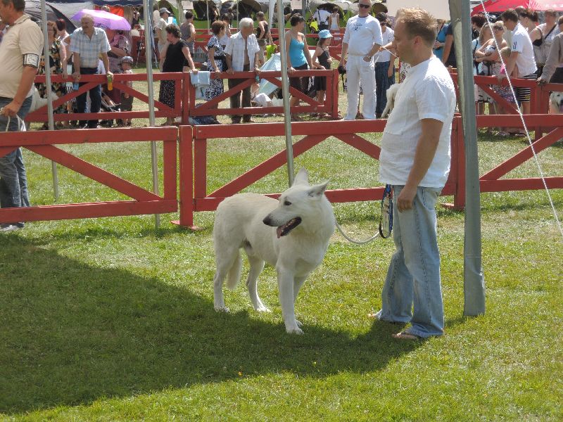 dscn1371.jpg