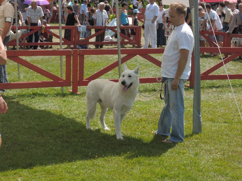 dscn1372.jpg
