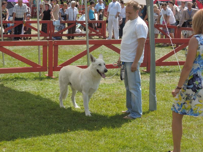 dscn1373.jpg