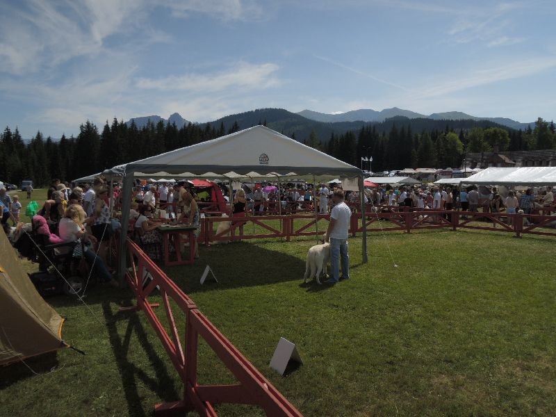 dscn1377.jpg