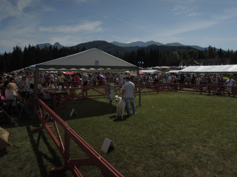 dscn1378.jpg