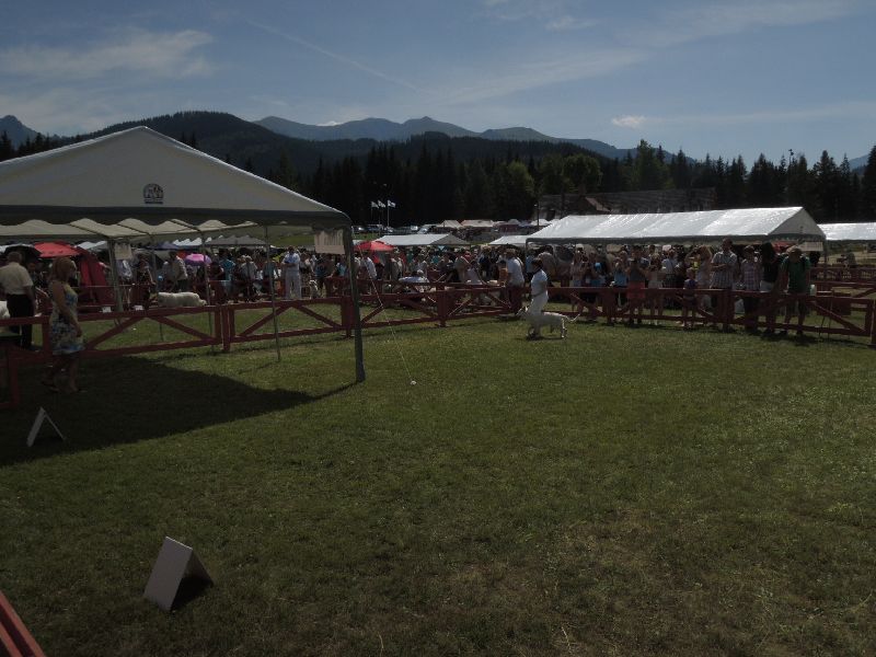 dscn1380.jpg