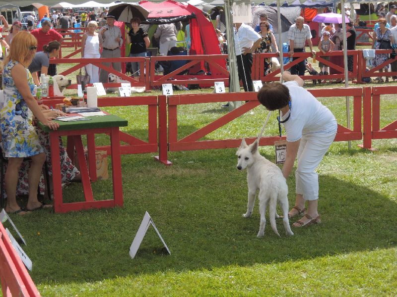 dscn1382.jpg