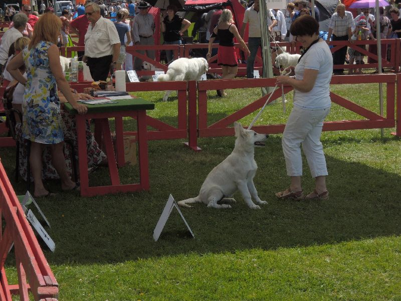 dscn1383.jpg