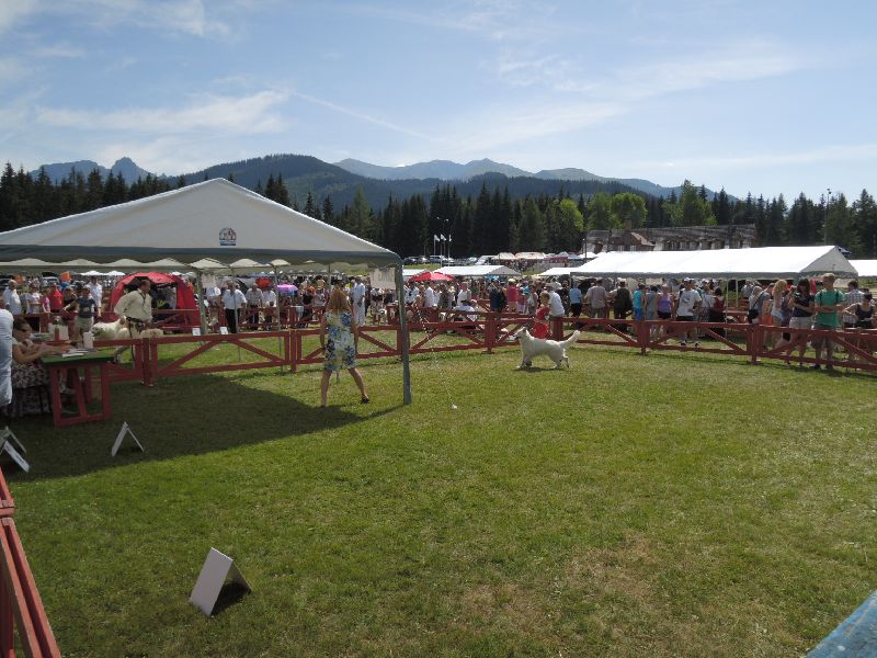dscn1386.jpg