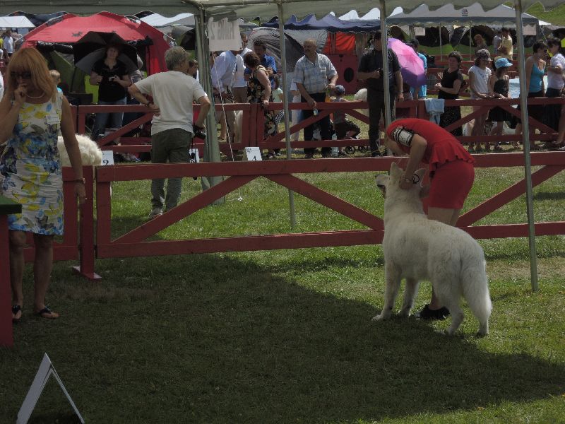 dscn1390.jpg