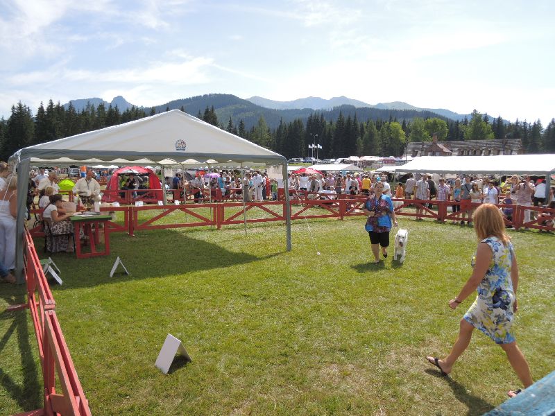 dscn1393.jpg