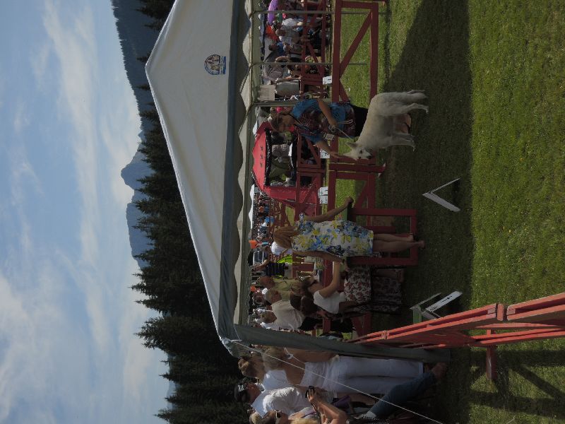 dscn1395.jpg