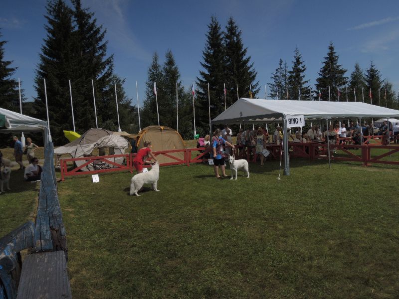 dscn1410.jpg