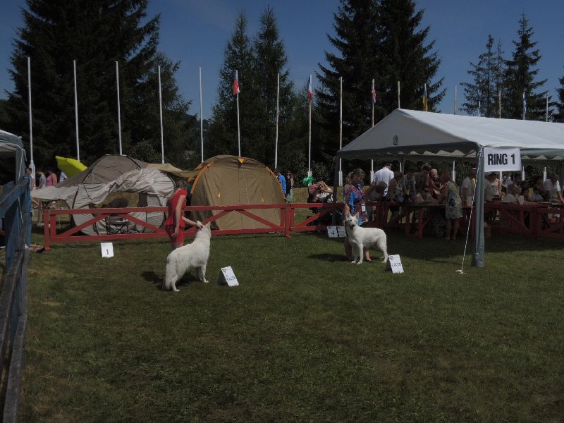 dscn1412.jpg