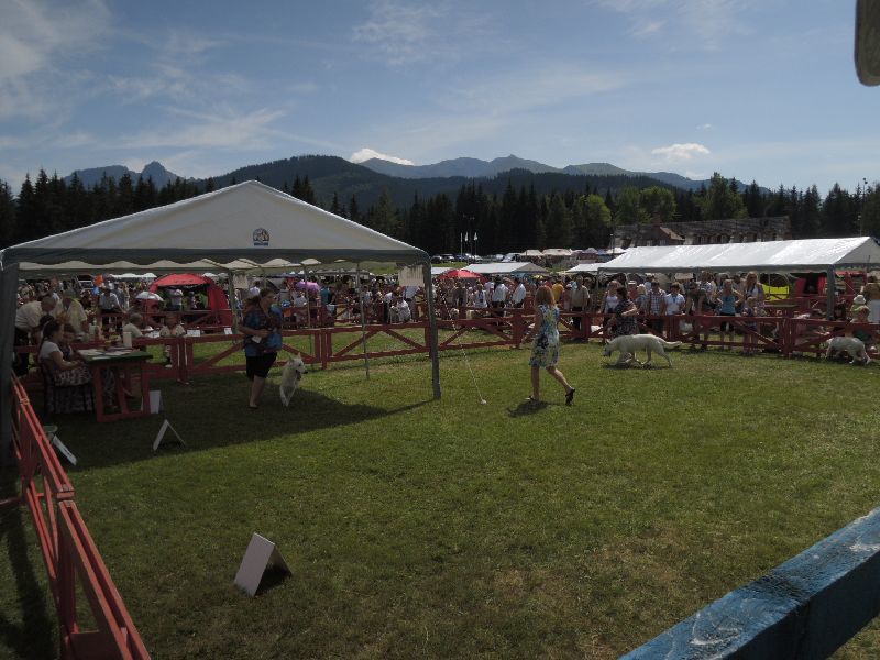 dscn1415.jpg