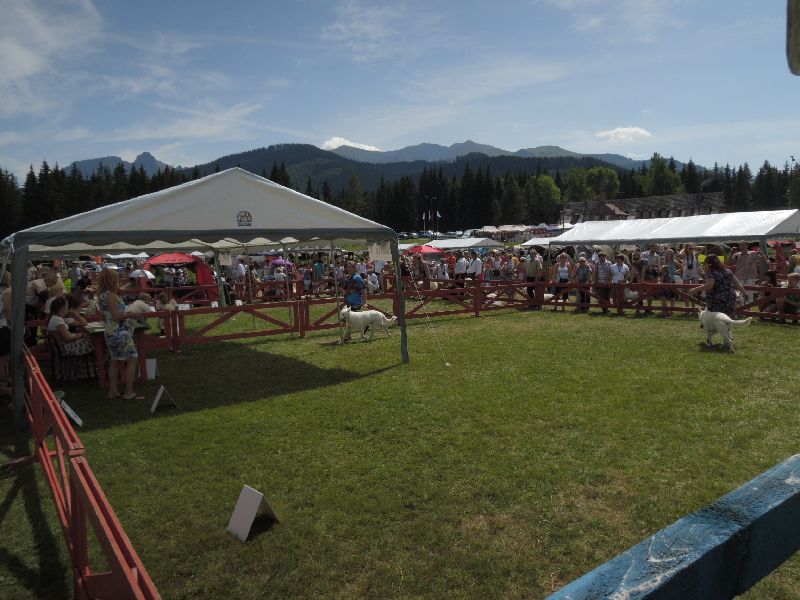 dscn1416.jpg