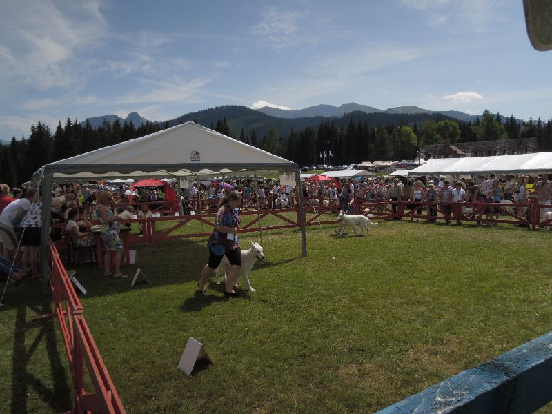 dscn1417.jpg