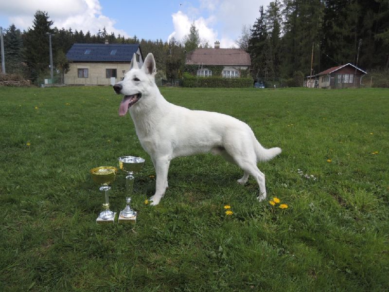 dscn2359.jpg