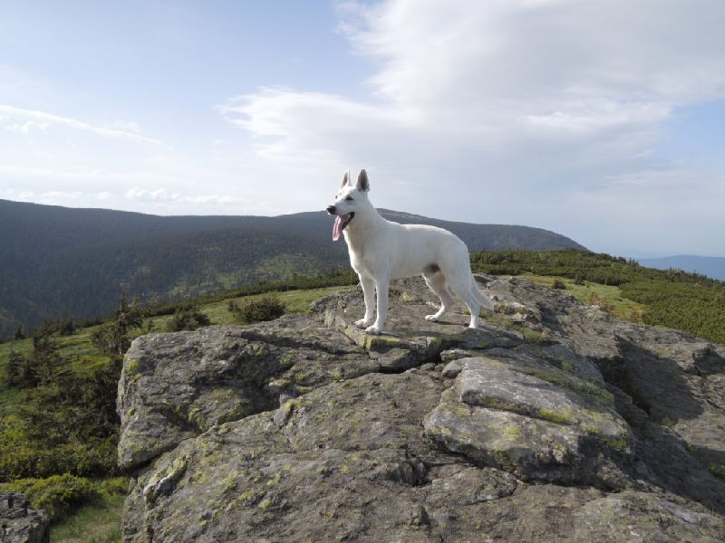 dscn2681.jpg