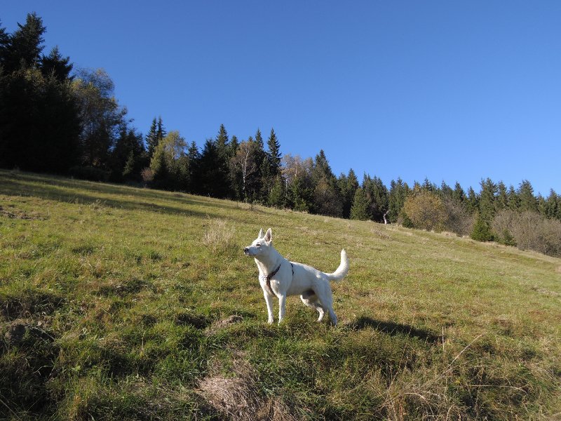 dscn4168.jpg