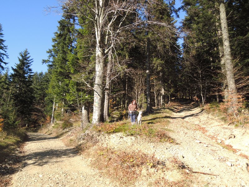 dscn4183.jpg